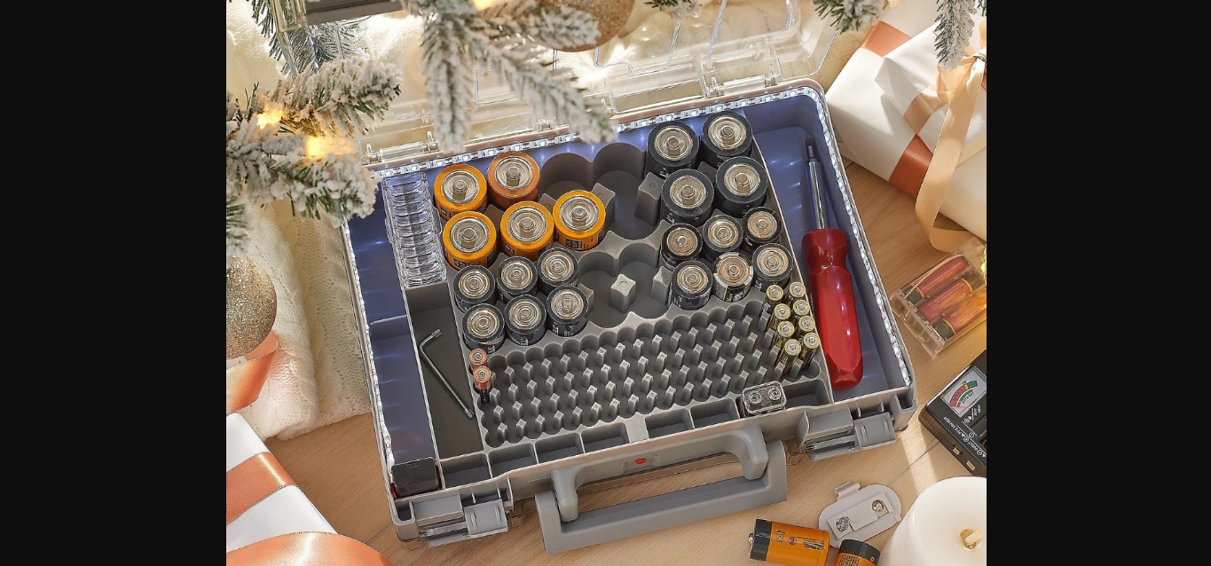 15 Best Battery Organizer Storage Case For 2024