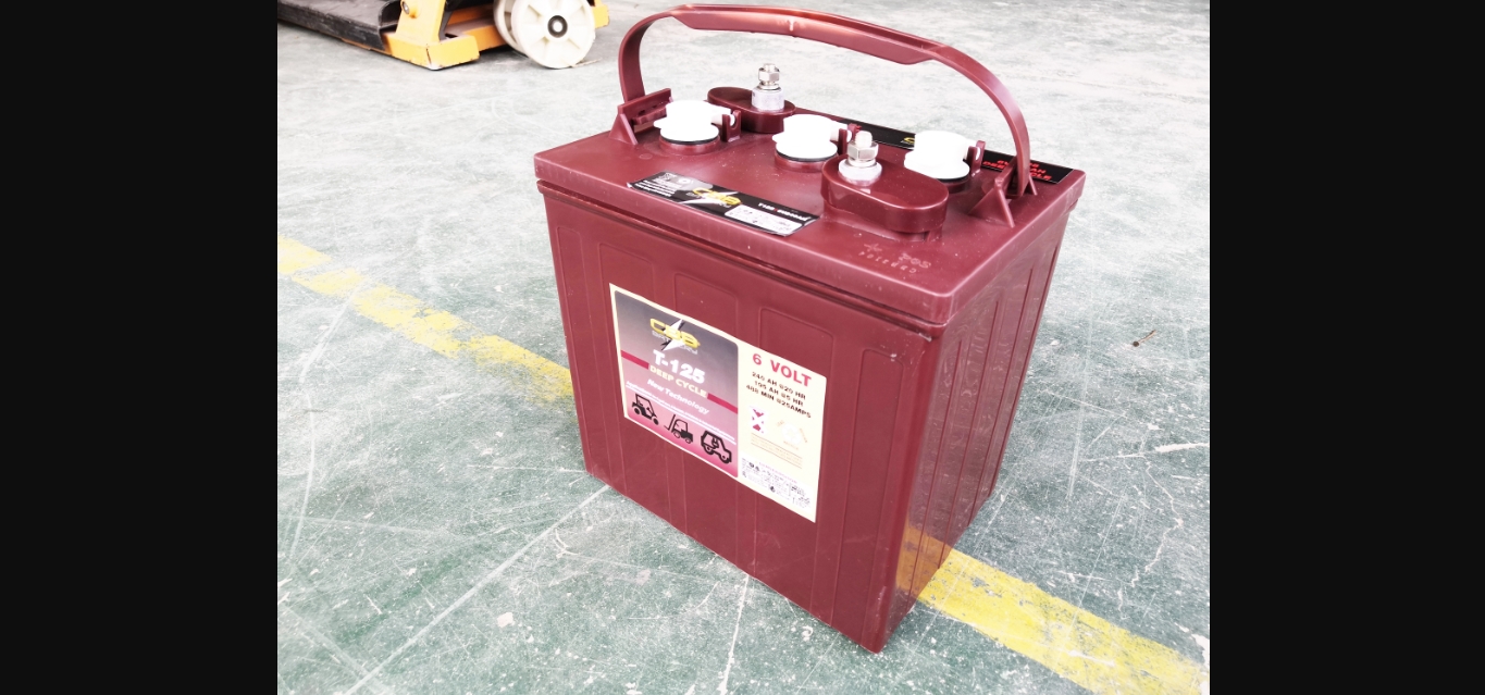 8 Incredible 6V Deep Cycle Battery For 2024