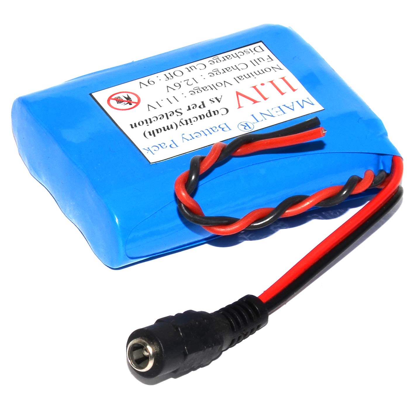 9 Amazing 12V Lithium Battery Pack For 2024