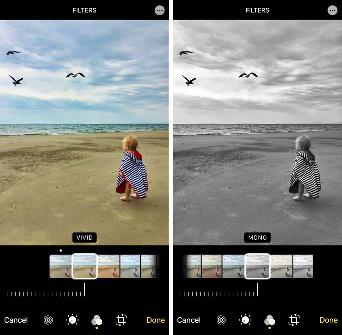 how-to-add-filters-to-live-photos-on-iphone-2023-update