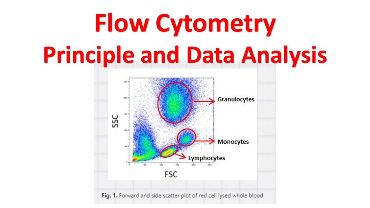 how-to-analyze-flow-cytometry-data