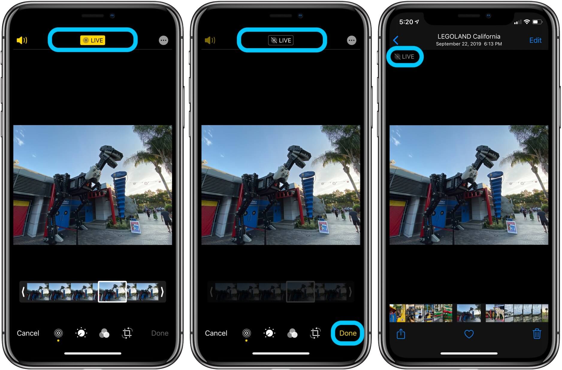 how-to-convert-live-photos-into-gifs-on-iphone-in-2023-guide