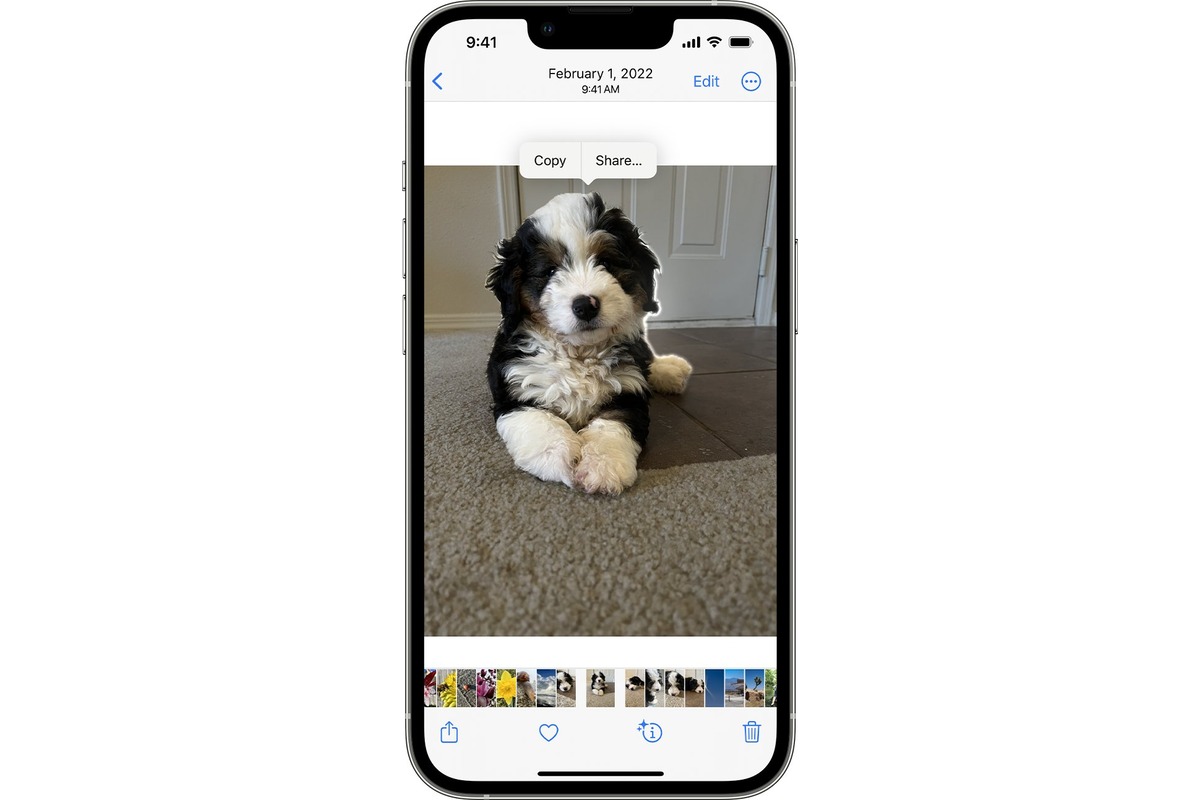 how-to-copy-and-paste-on-iphone-pictures