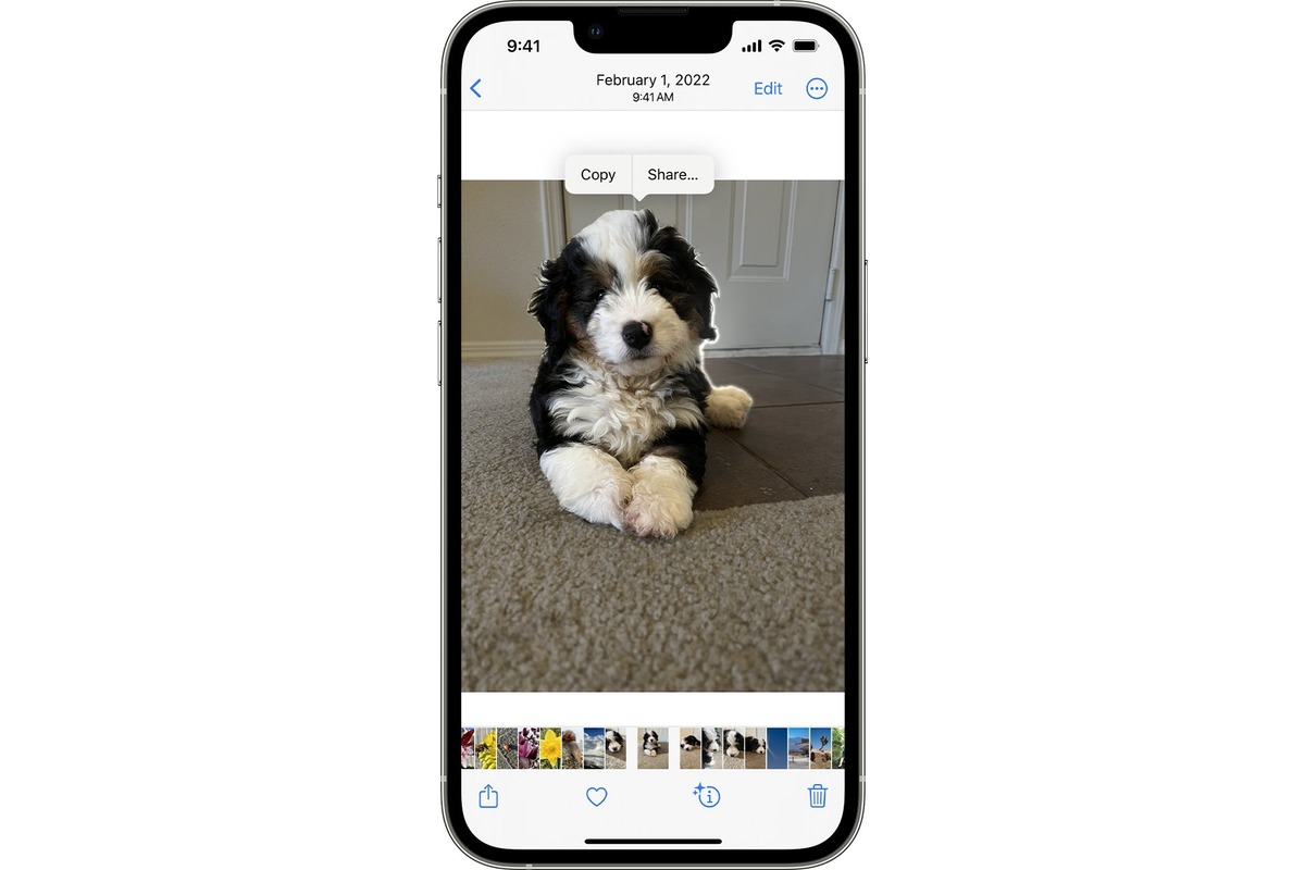 how-to-copy-and-paste-on-iphone-pictures-cellularnews