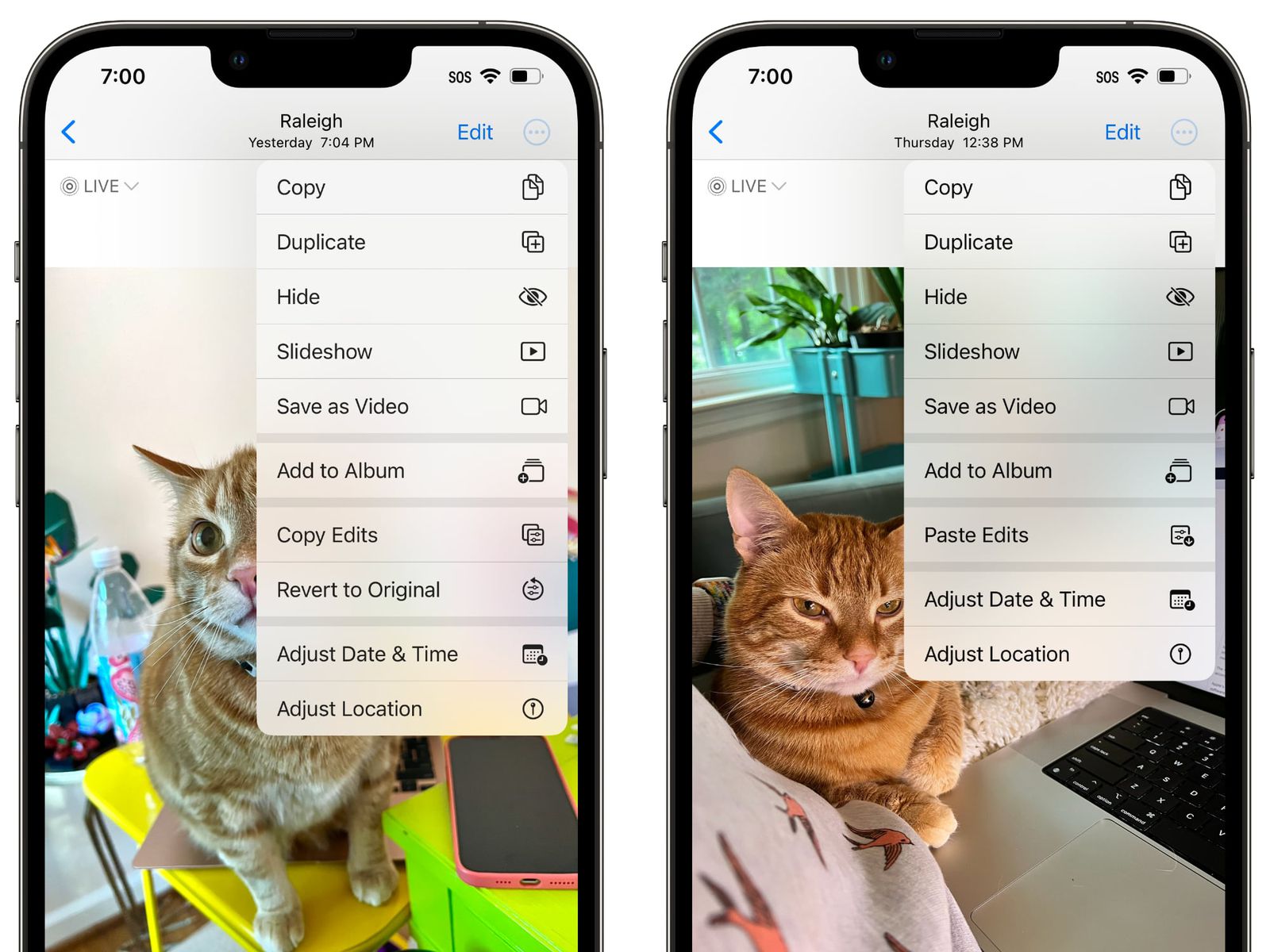 how-to-copy-and-paste-photos-on-iphone
