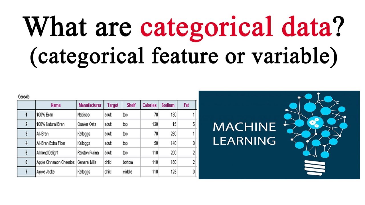how-to-describe-categorical-data
