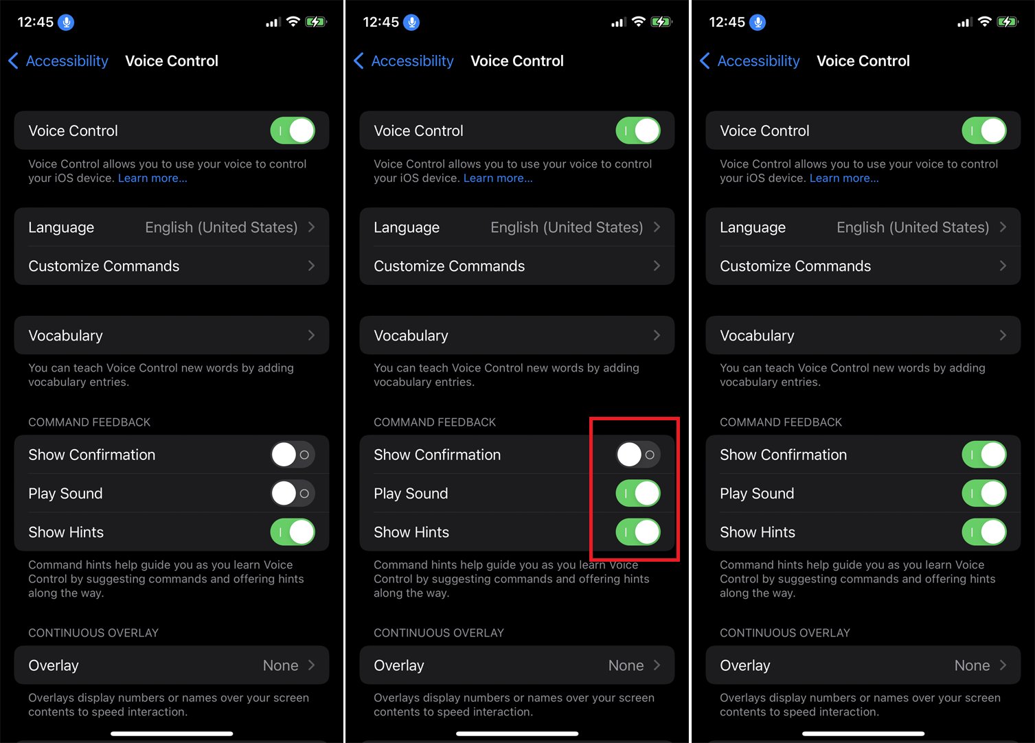 how-to-disable-voice-control-on-iphone