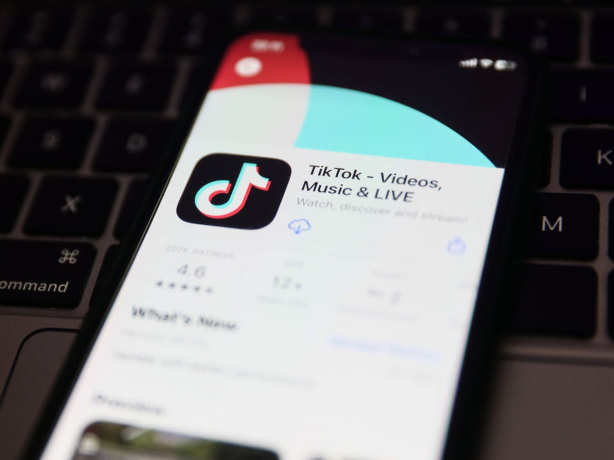 how-to-find-tiktok-account-by-phone-number