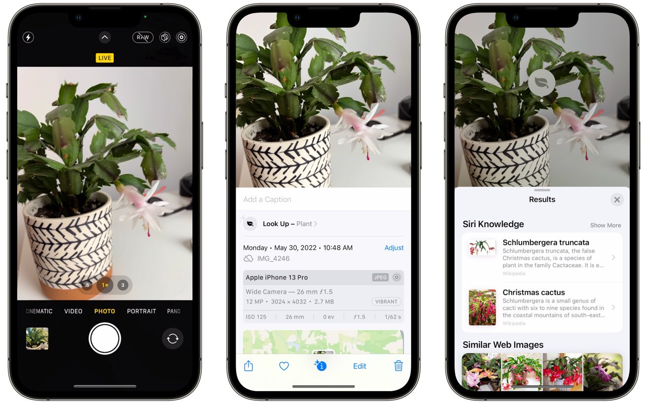 how-to-identify-plants-with-the-iphone-photos-app-2022