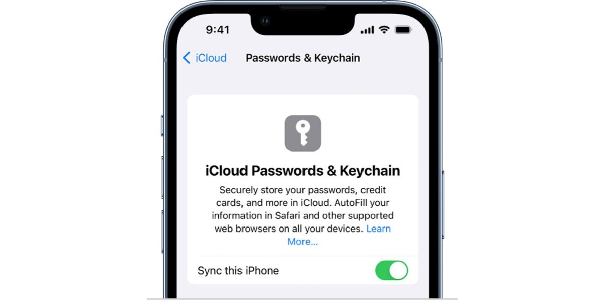 how-to-manually-add-passwords-to-icloud-keychain