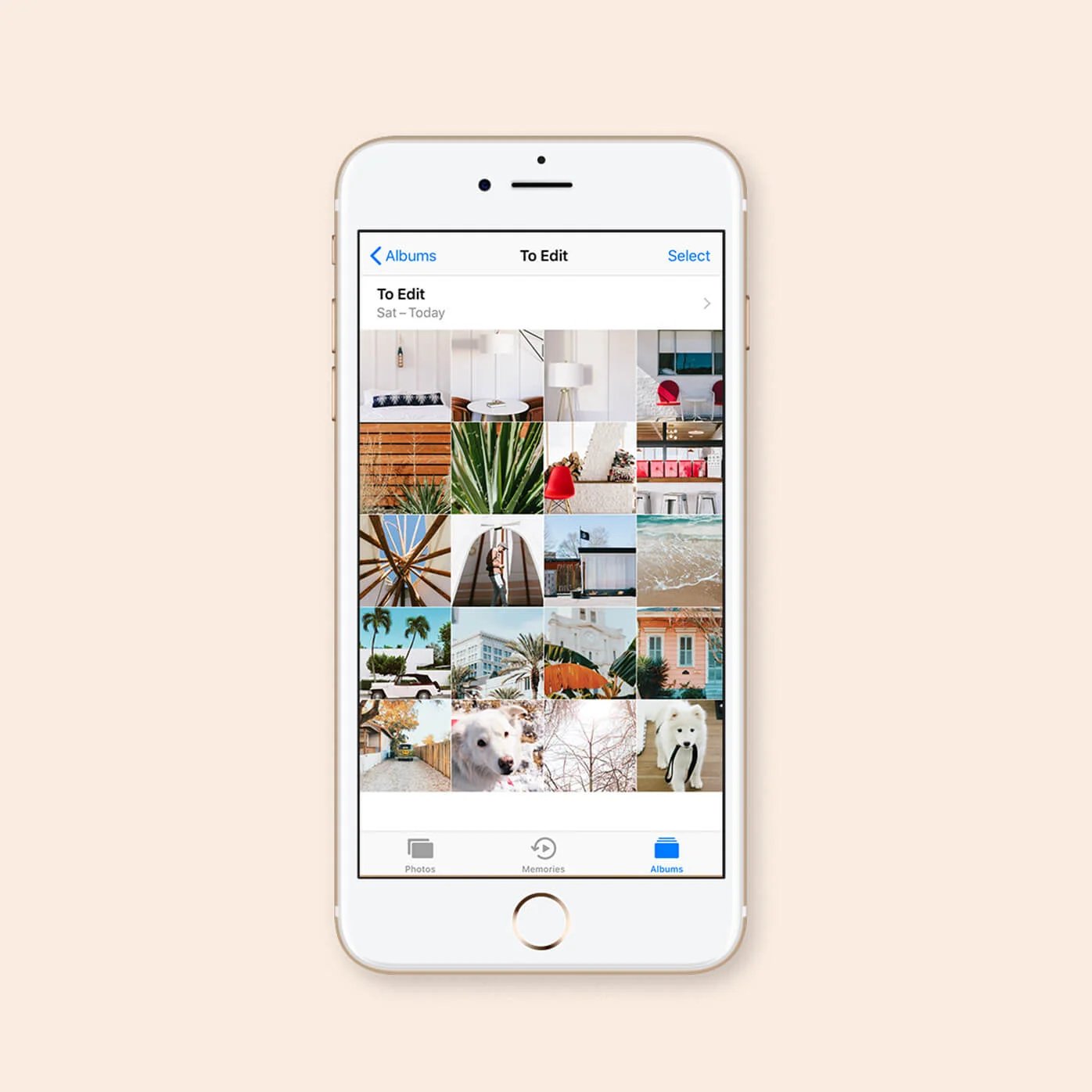 how-to-organize-photos-on-your-iphone-in-4-steps-2023