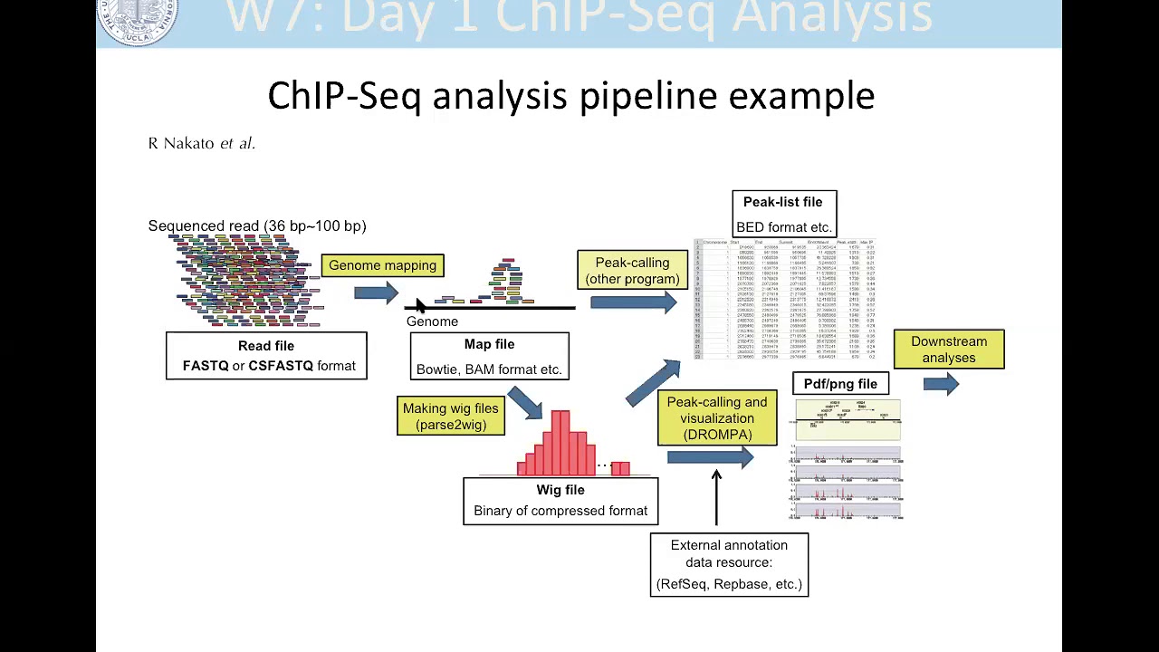 How To Read Chip-Seq Data – Open Source Biology & Genetics Interest Group