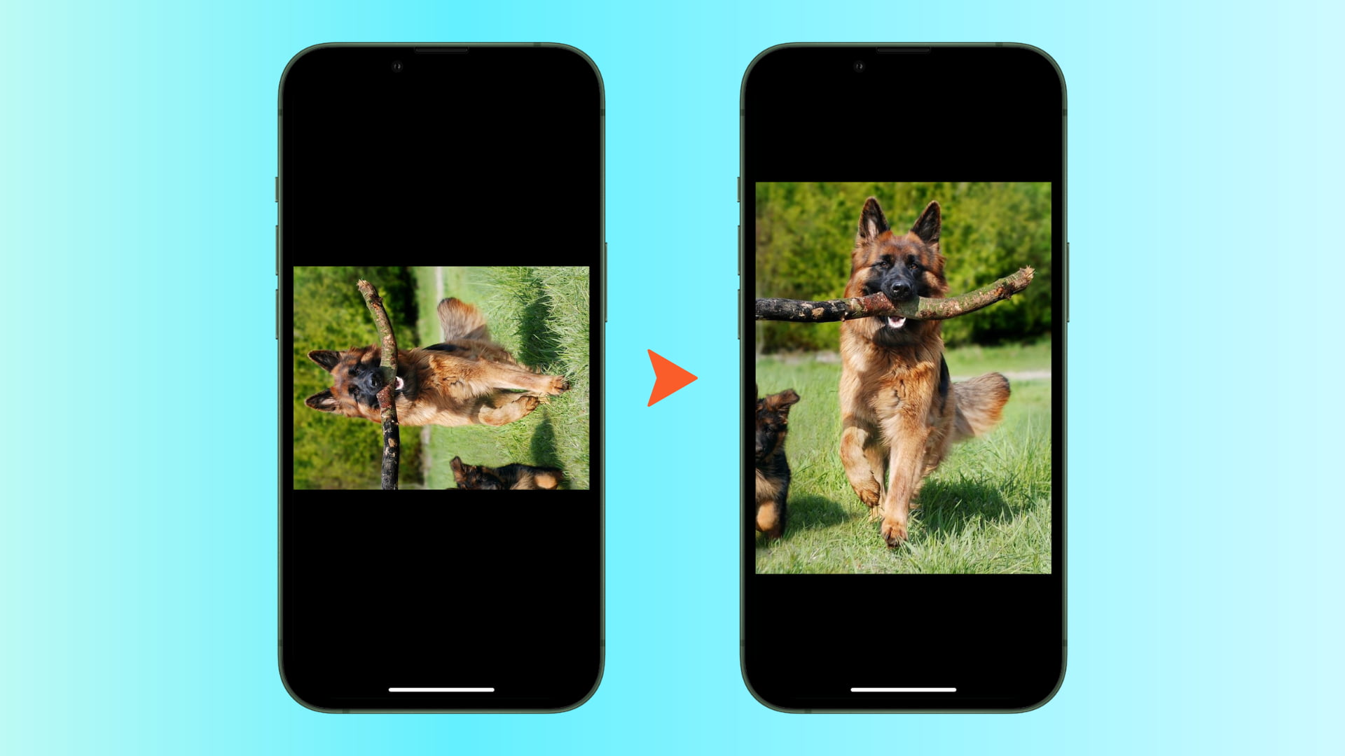 how-to-rotate-photos-on-iphone