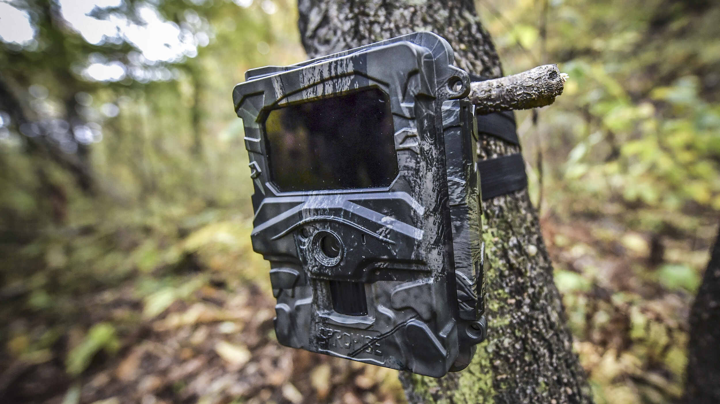 how-to-set-up-a-cellular-trail-camera
