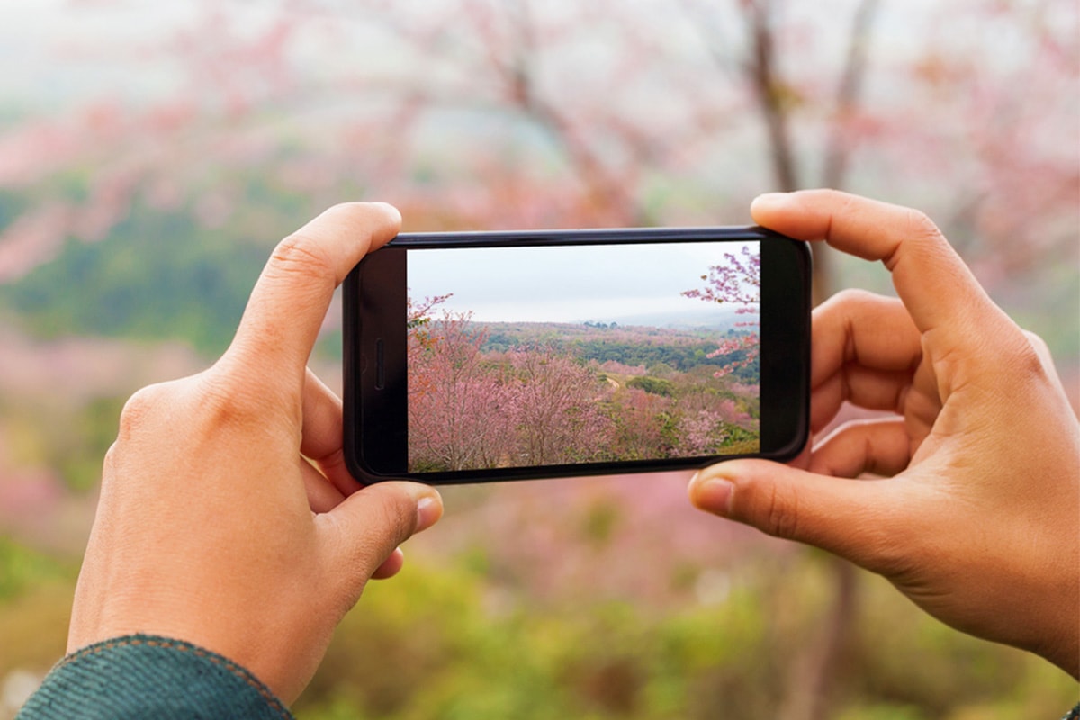 how-to-take-good-landscape-photos-with-phone