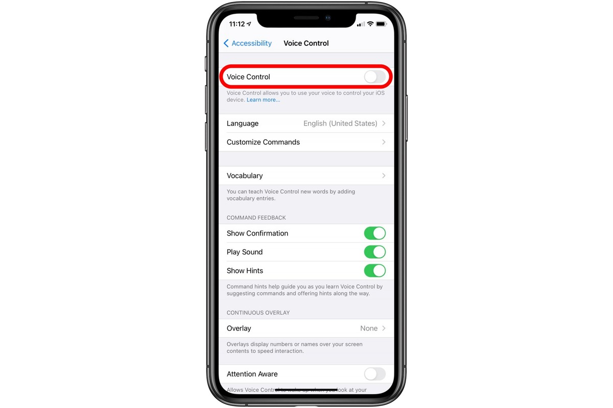 how-to-turn-voice-control-off-on-iphone