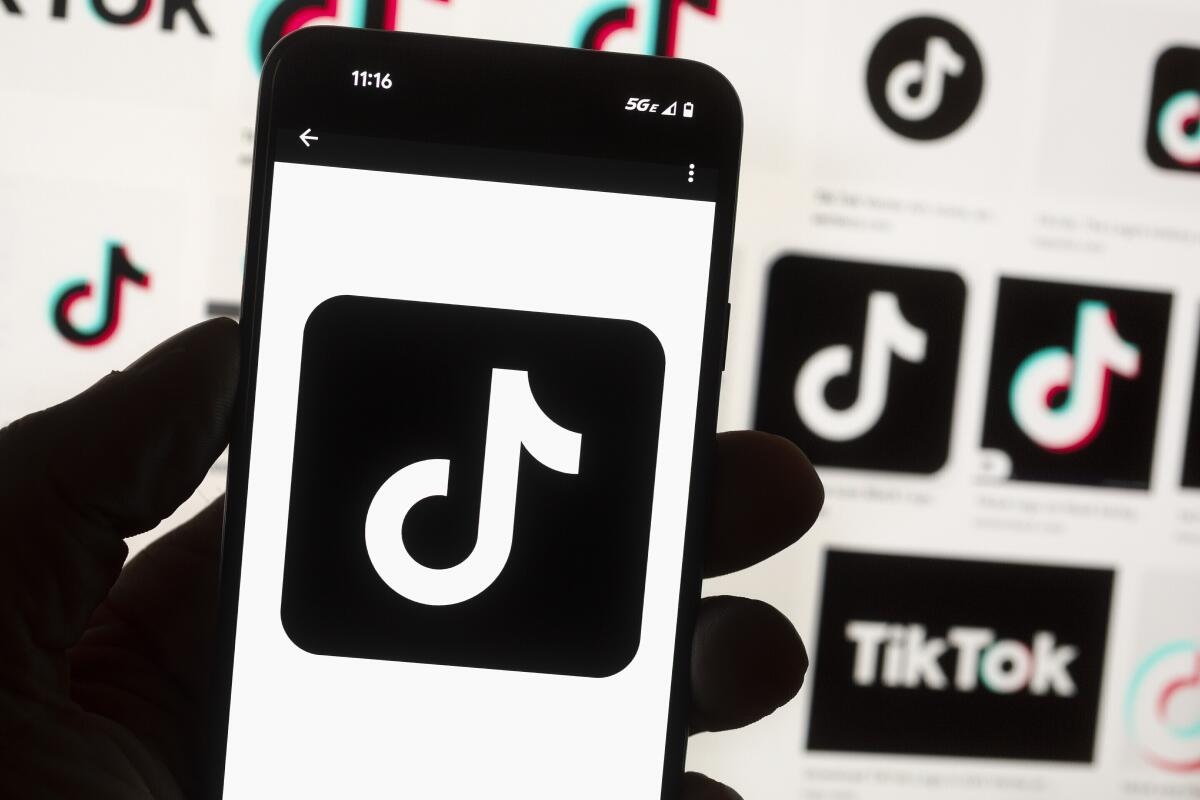 how-to-unlink-phone-number-from-tiktok-without-old-number