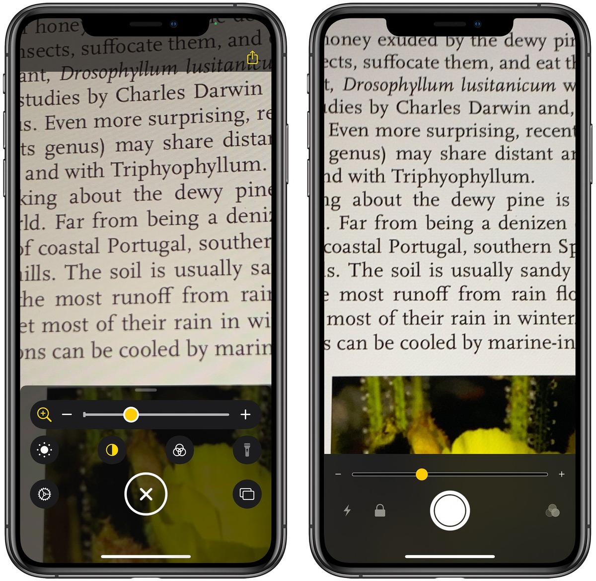 how-to-use-the-redesigned-iphone-magnifier-in-ios-14