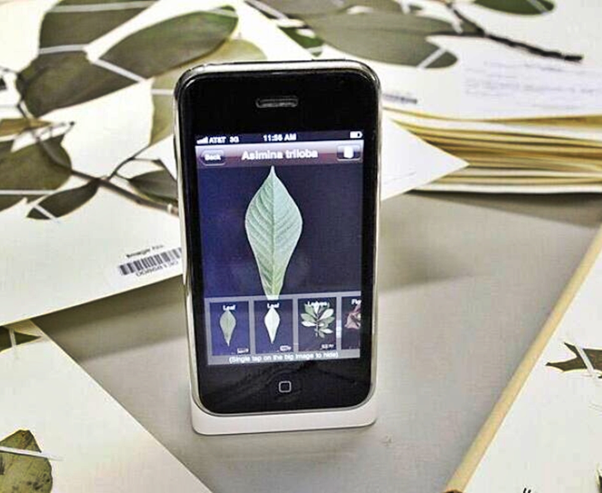 leafsnap-free-app-lets-you-identify-trees-by-taking-a-photo