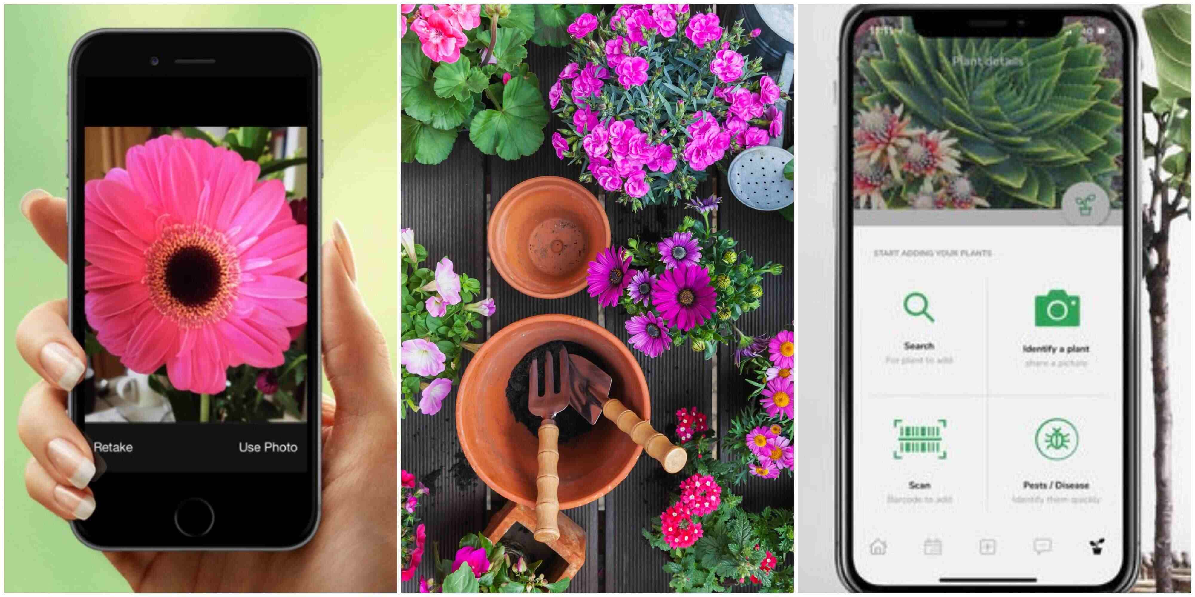 the-best-gardening-apps-for-2022