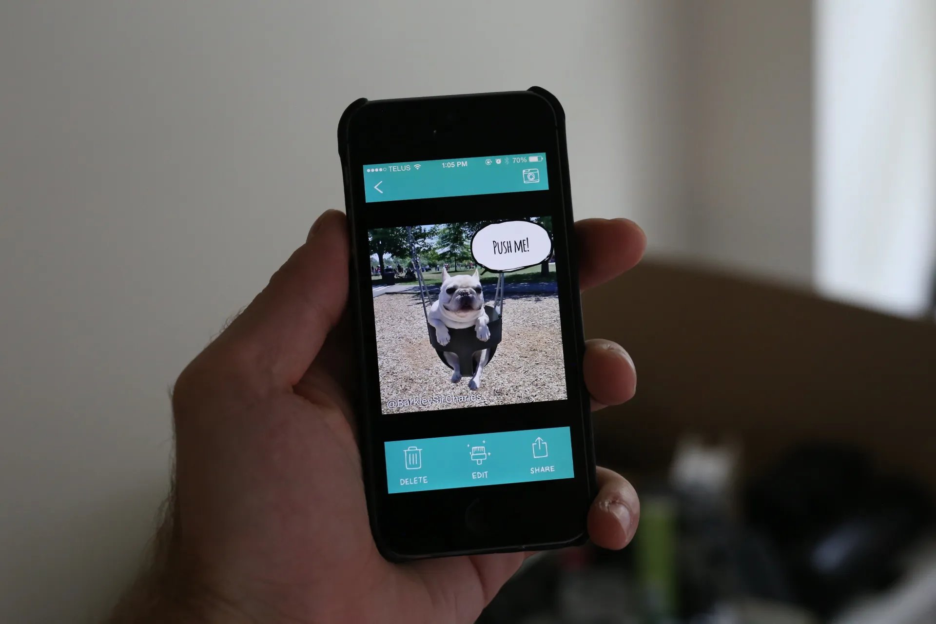 the-ultimate-app-for-dog-photos-barkcam