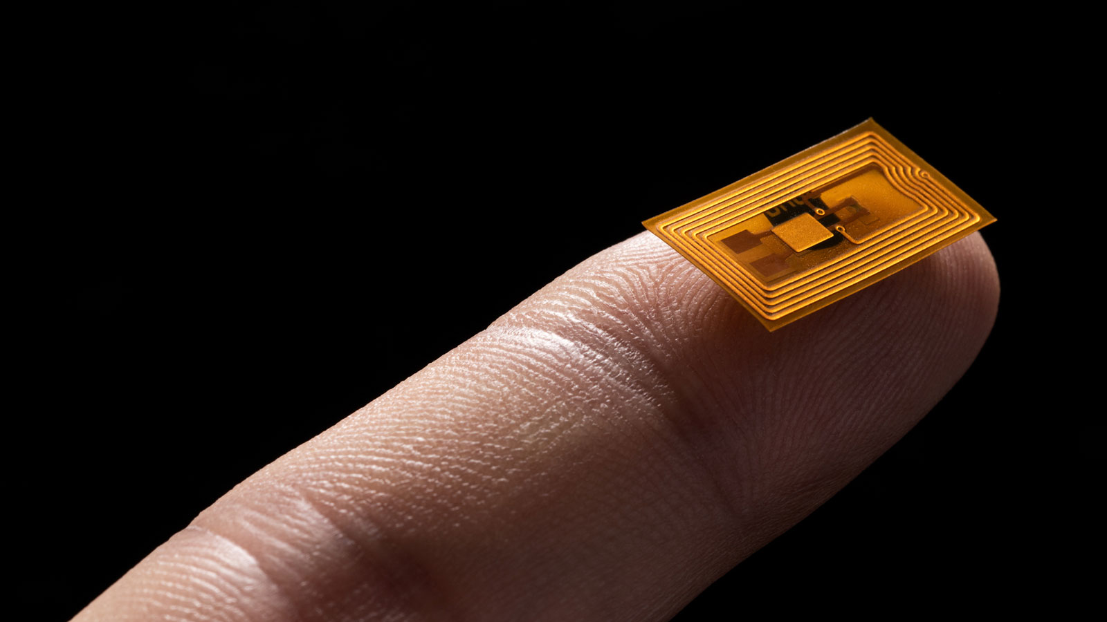 14 Best NFC Tags For 2023 CellularNews