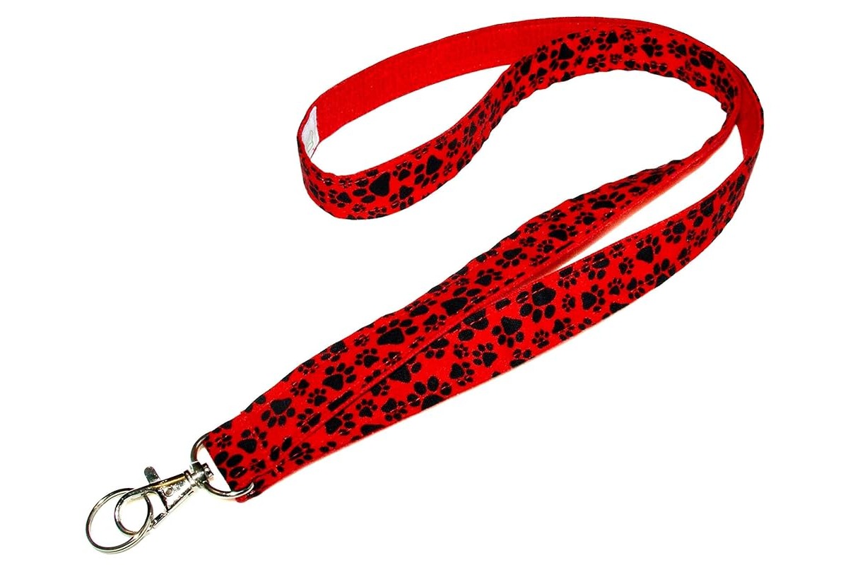 11 Amazing Red Lanyard For 2024