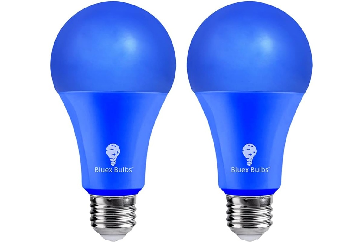 14 Best Blue Light Bulb For 2024
