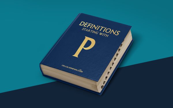 What Is A Portal On The Internet?