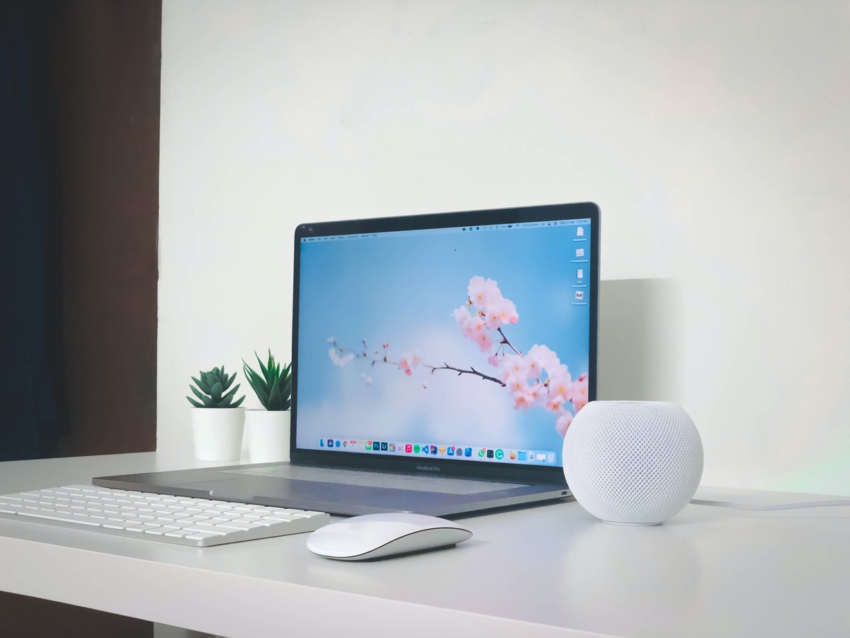 how-to-connect-an-apple-magic-mouse-to-mac-2023