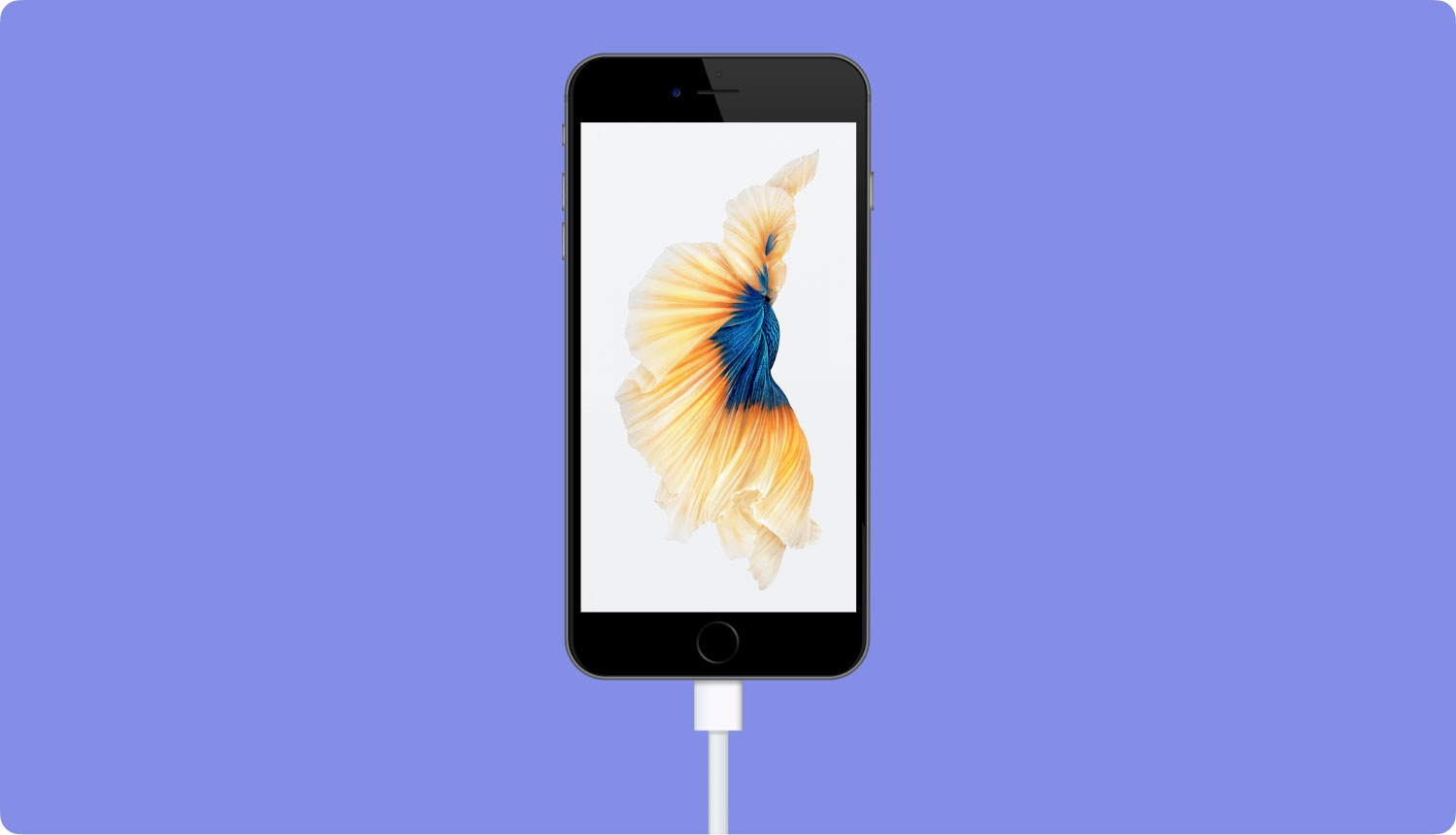 iphone-5s-problems-and-how-to-fix-them-even-the-blue-screen-of-death
