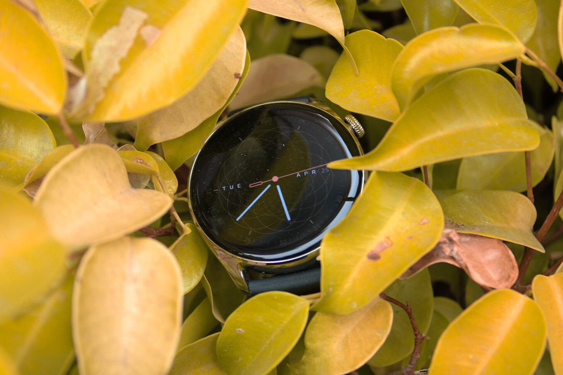 this-250-smartwatch-destroys-the-apple-watch-in-4-ways