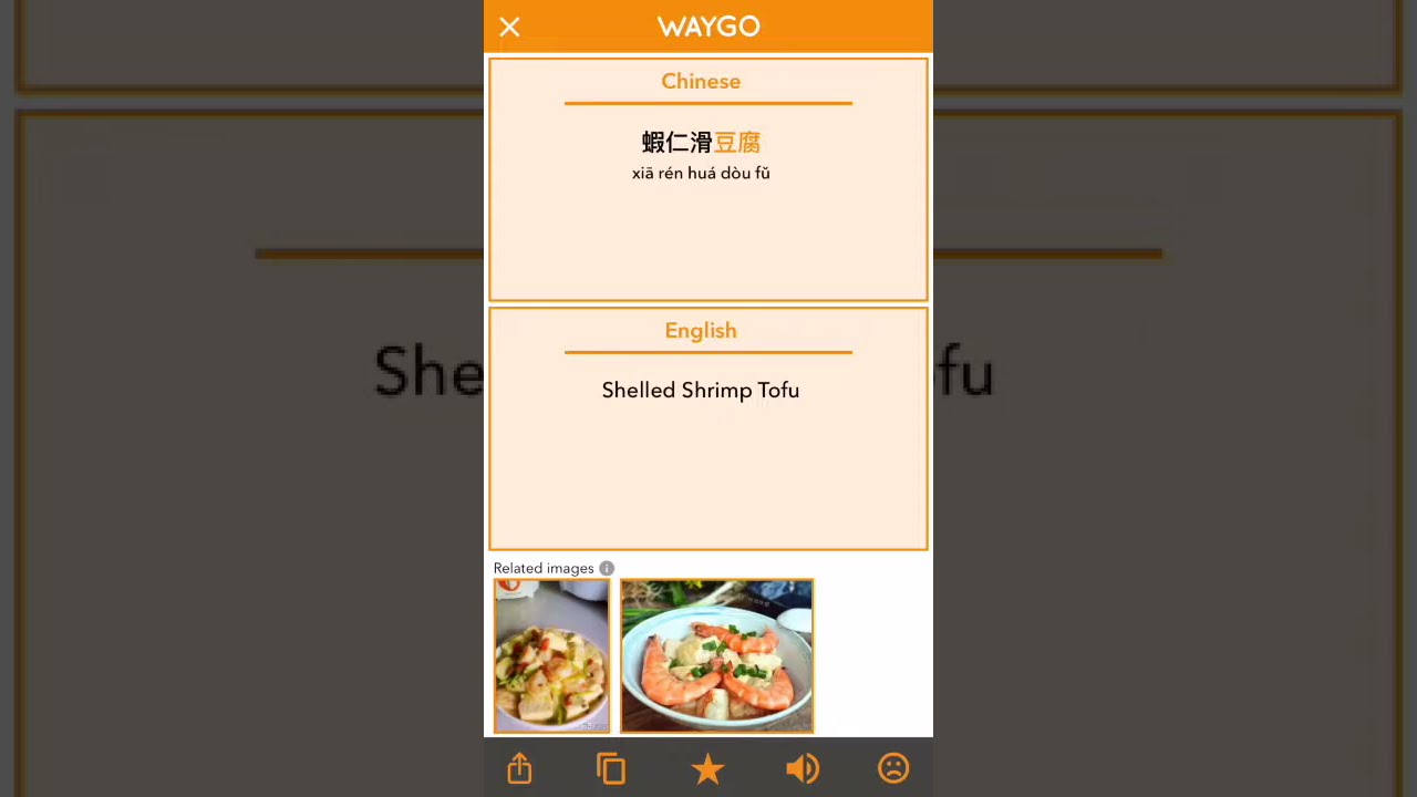 waygo-translates-chinese-menus-to-english-with-pictures