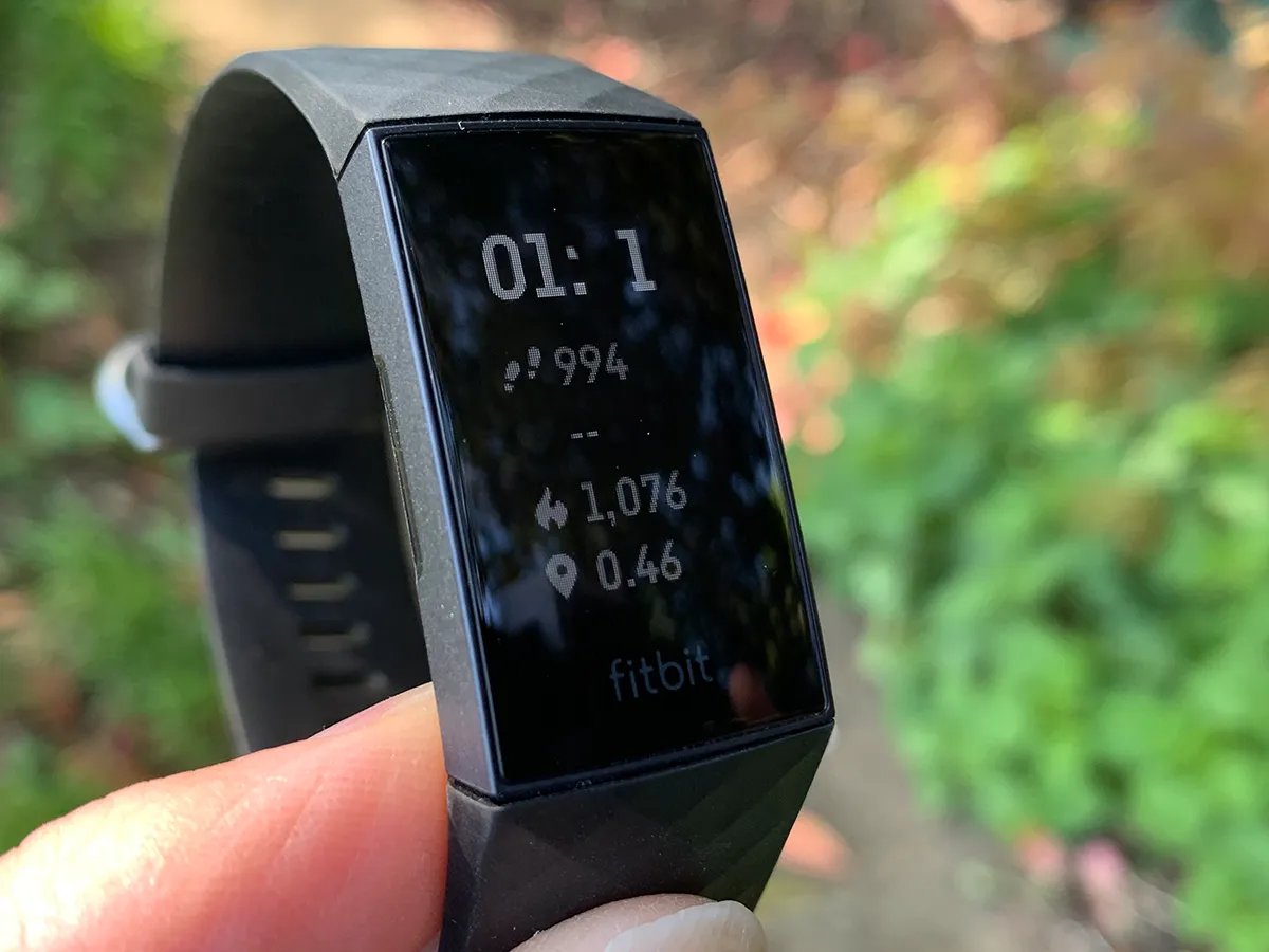 what-is-the-fire-symbol-on-fitbit