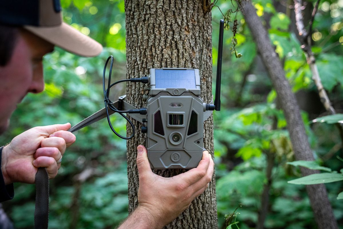 how-much-does-it-cost-to-have-a-cellular-trail-camera