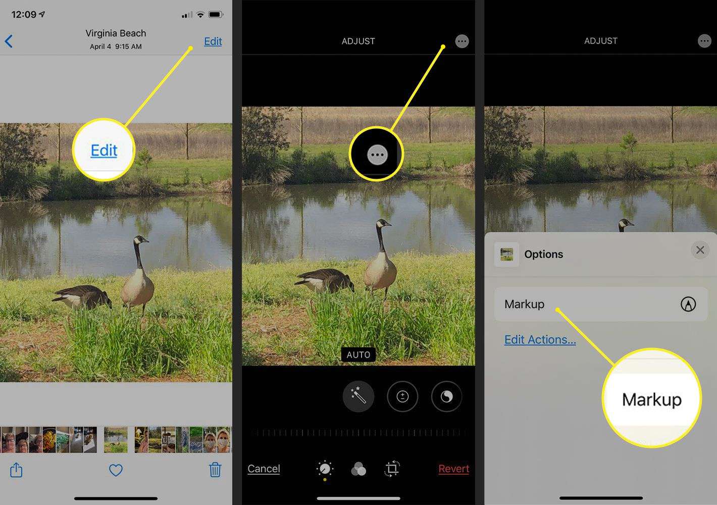 how-to-add-text-to-photo-on-iphone
