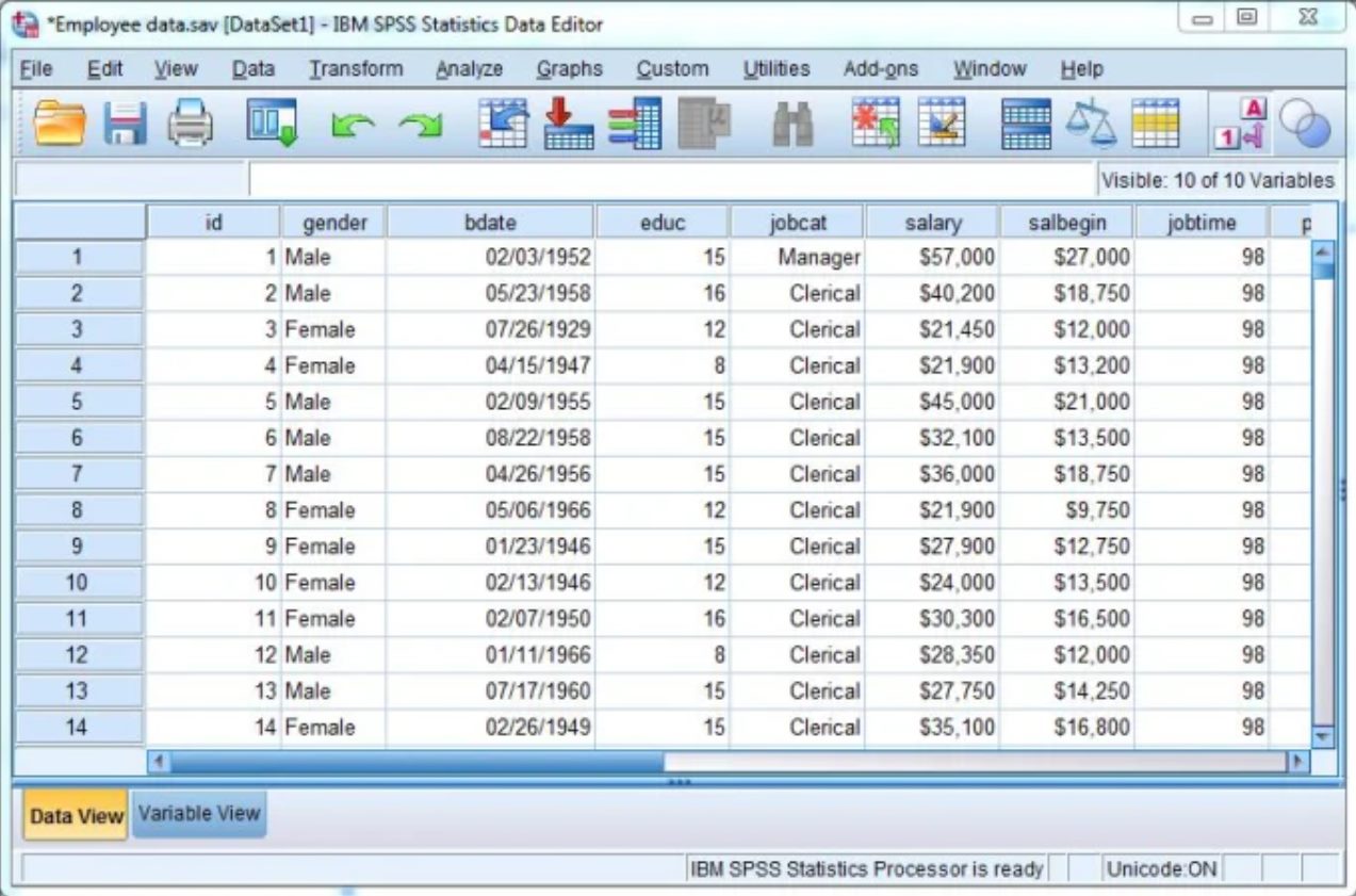 how-to-input-data-in-spss