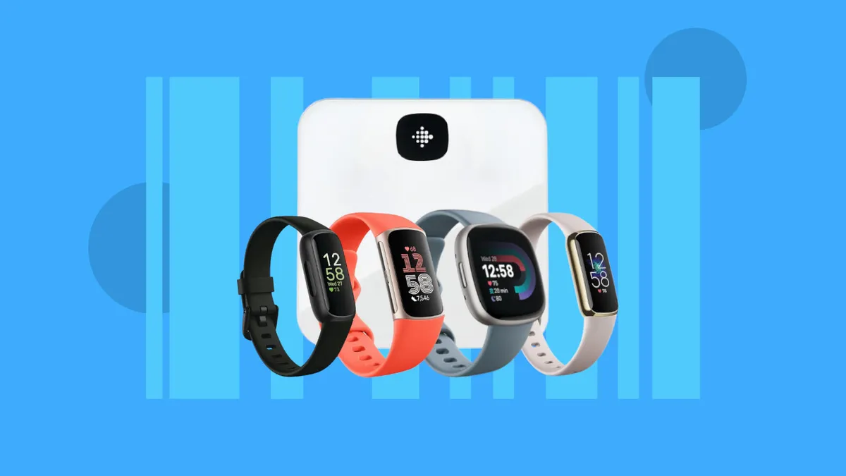 12 Best Fitbit Tracker For 2024