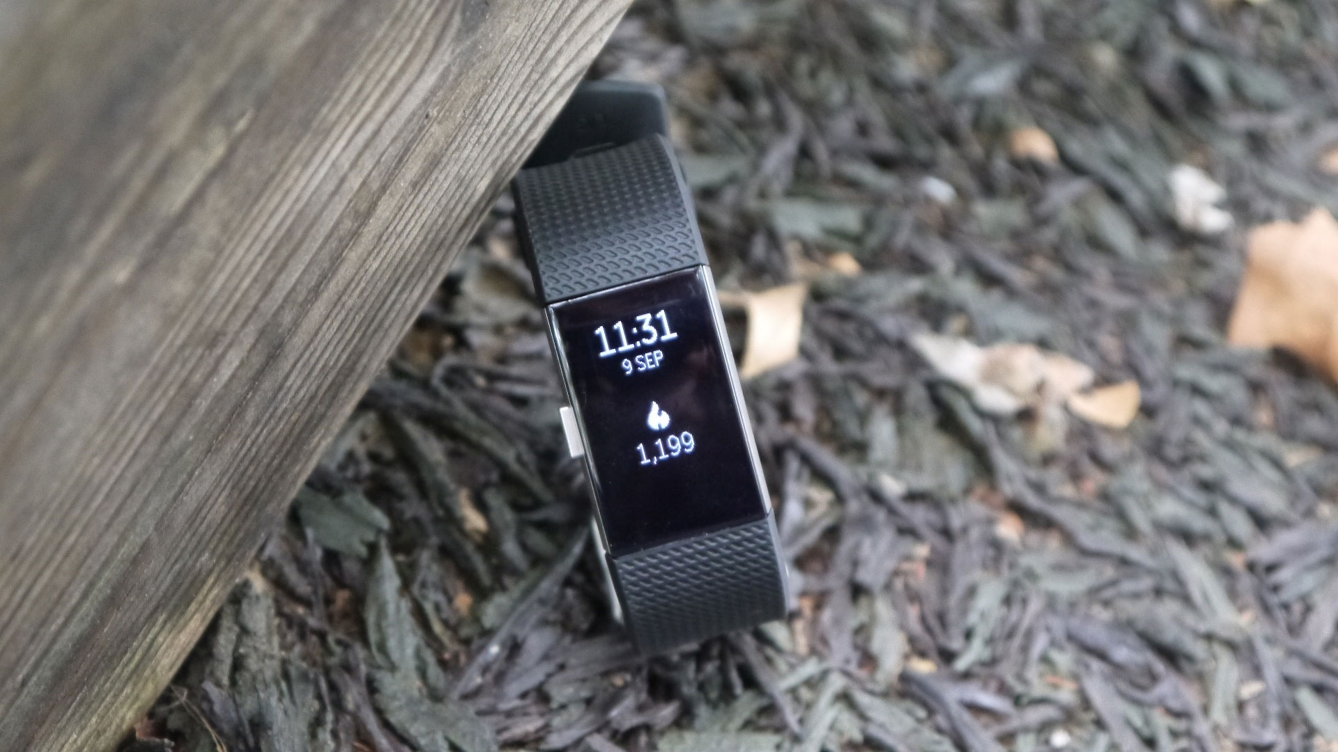 9 Best Bands For Fitbit Charge 2 For 2024