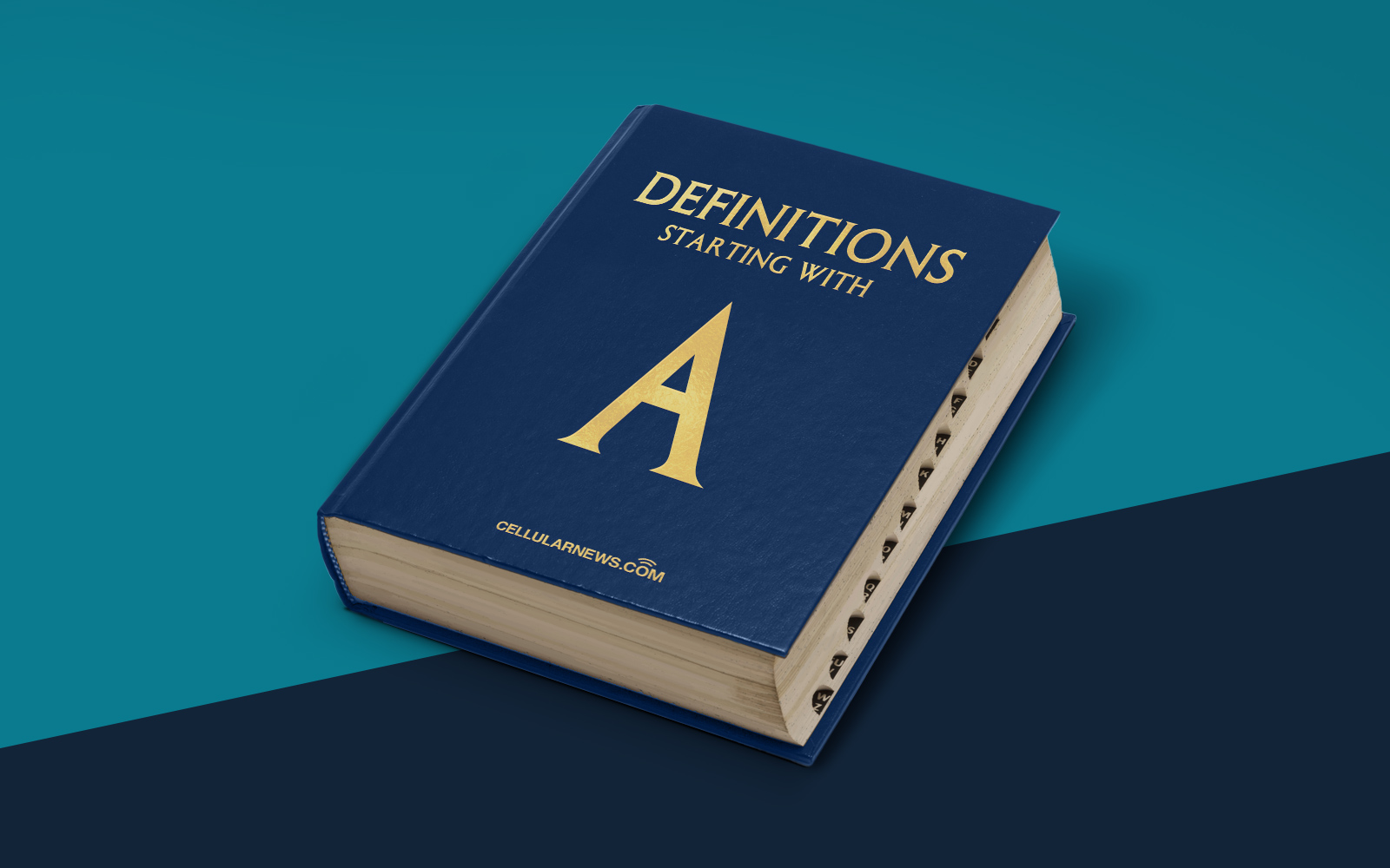 What Is Application Portfolio?