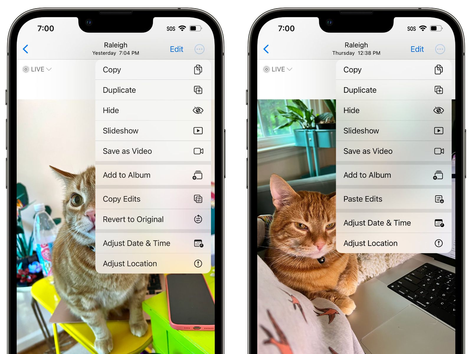 How To Copy And Paste Pics On Iphone 14