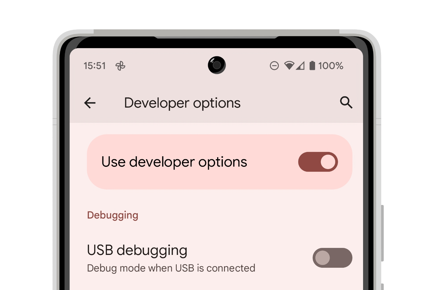how-to-enable-developer-options-on-pixel-6