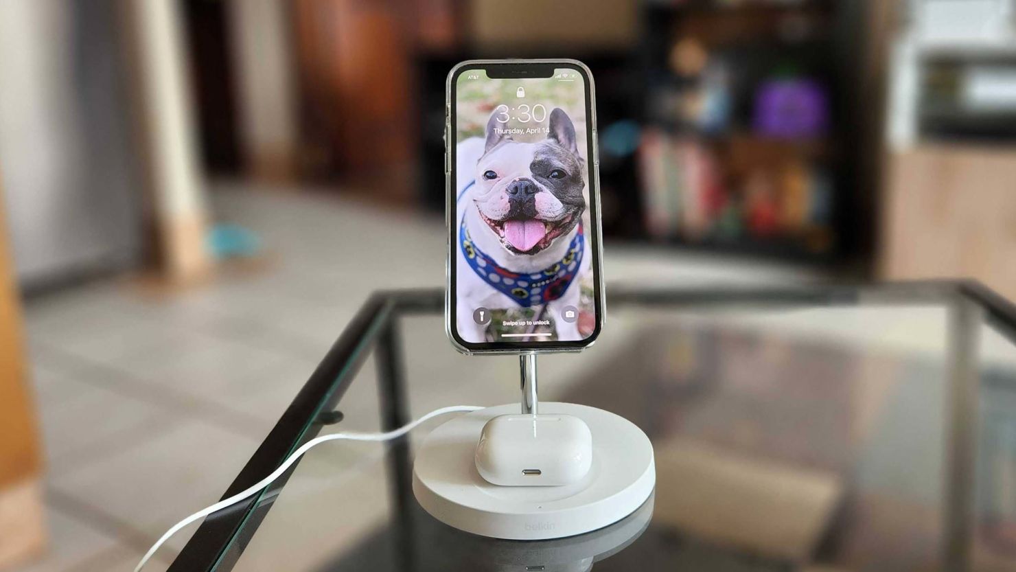 how-to-get-the-dog-on-iphone-14