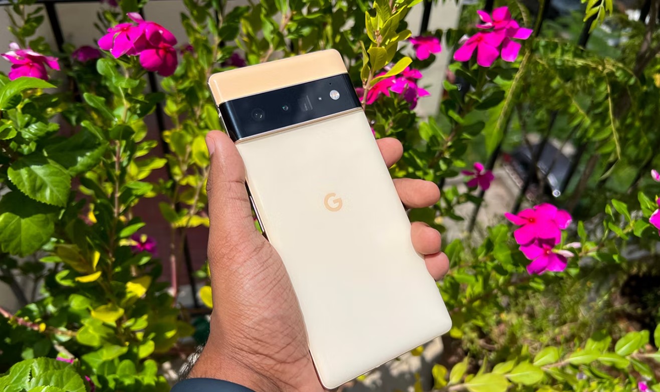 How To Root Pixel 6 Pro | CellularNews