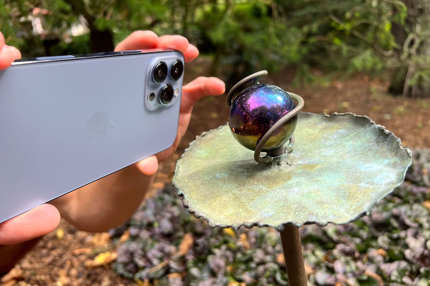how-to-take-macro-photos-with-iphone-13-pro-max