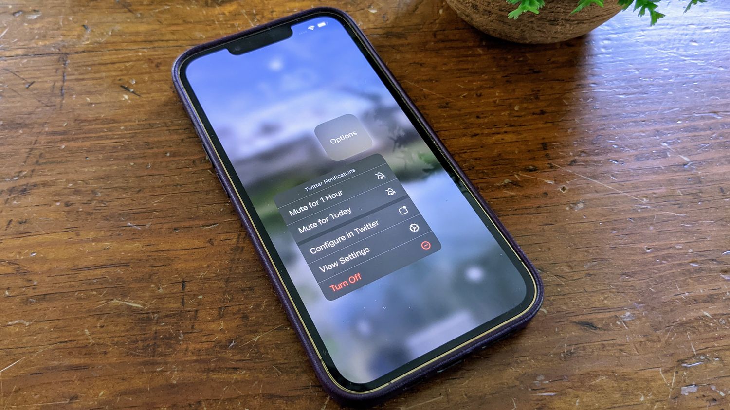 how-to-unsilence-notifications-on-iphone-13