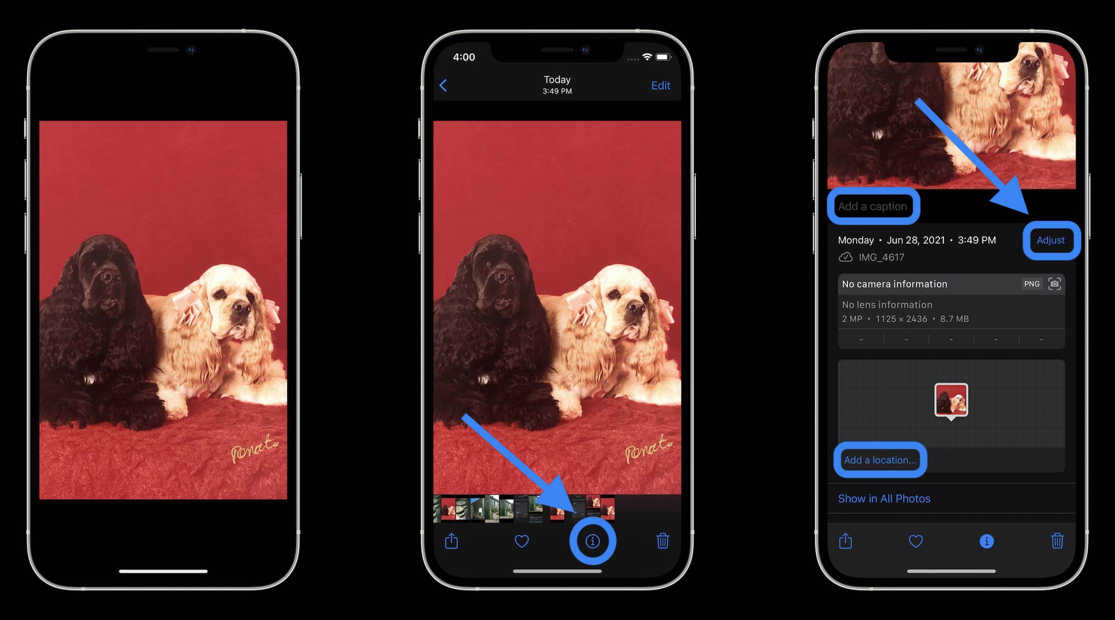 how-to-edit-pictures-on-iphone-11