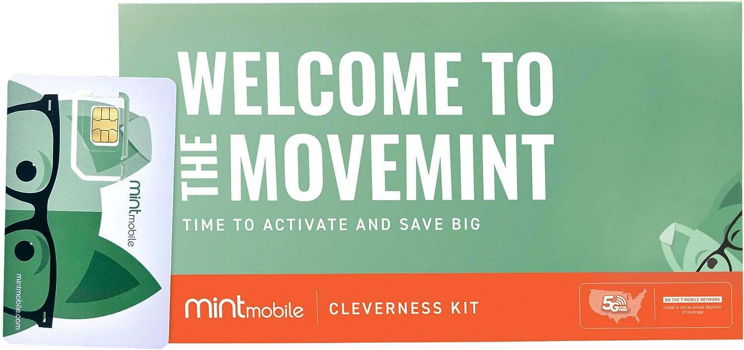 mint-mobile-what-if-i-go-over-data