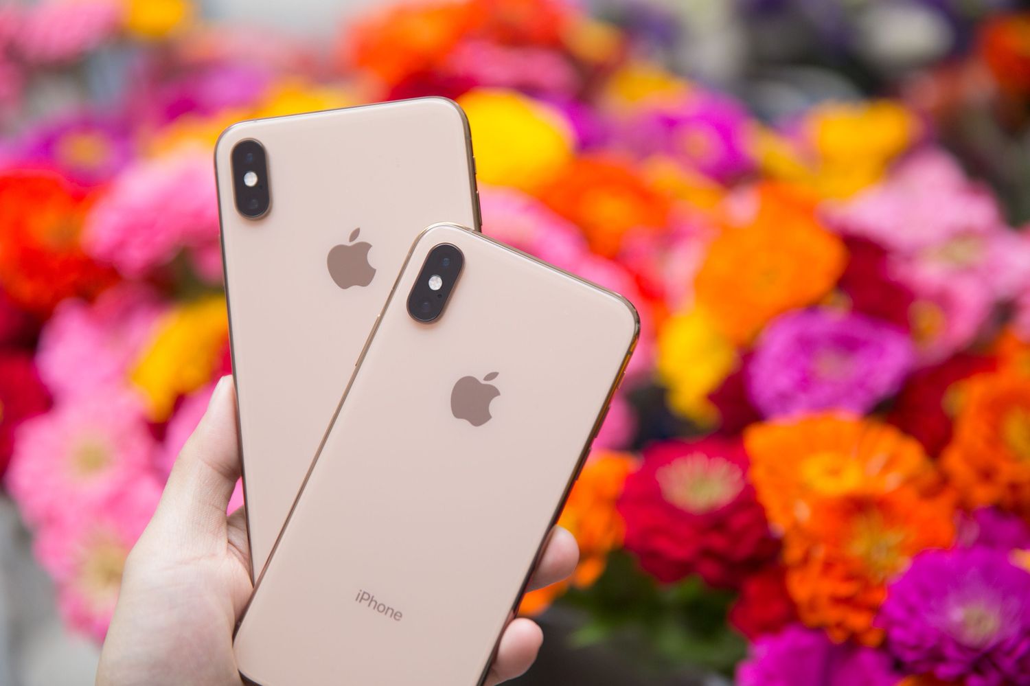 what-is-the-difference-between-iphone-10-and-10s